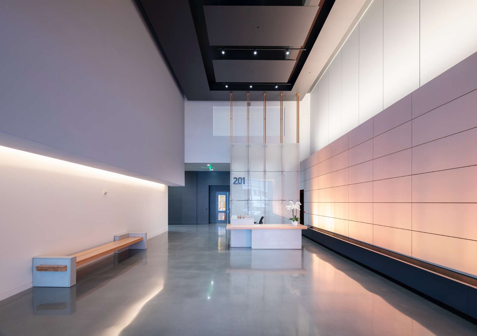 intro gallery image6